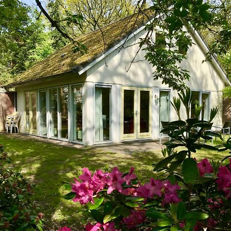 Vakantiewoning Tjiftjaf In "Het Fonteinbos" Villa Oudemirdum Eksteriør billede